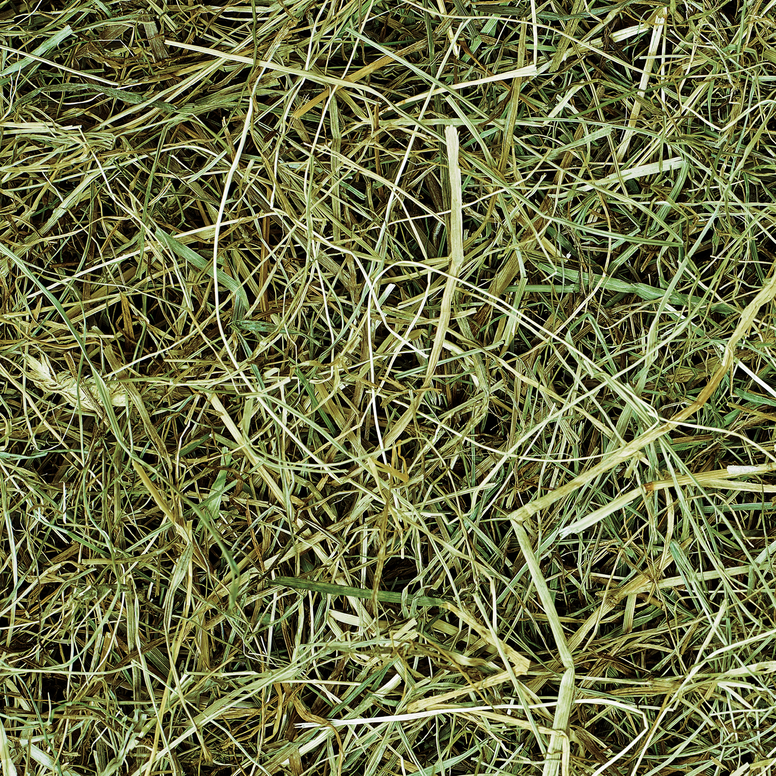 Pet Fibers