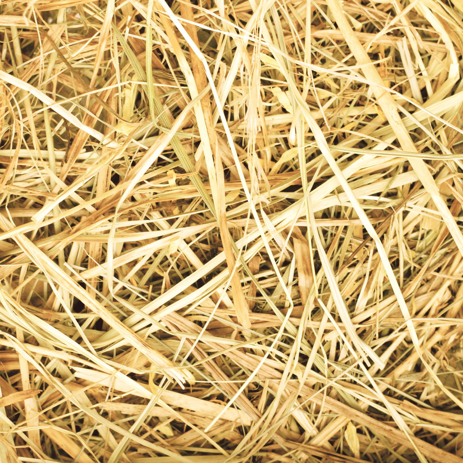 Pet Bedding Wheat straw